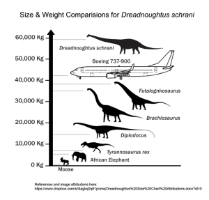 dreadnoughtus3